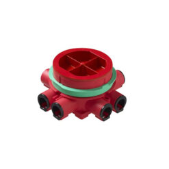 JAKORASIA PALOKATTORASIA