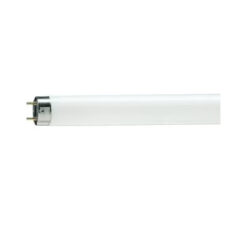 LOISTELAMPPU T8 PHILIPS TL-D FOOD 36W/79 G13