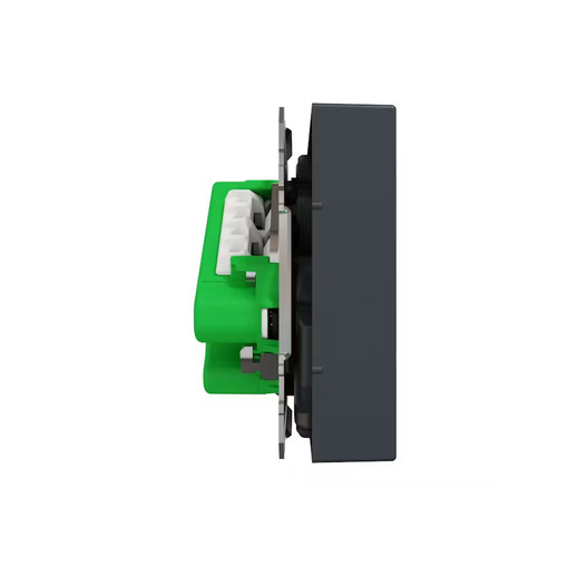 PISTORASIA EXXACT 2S/16A/IP21 1X UKJ VINO ANT - Image 2